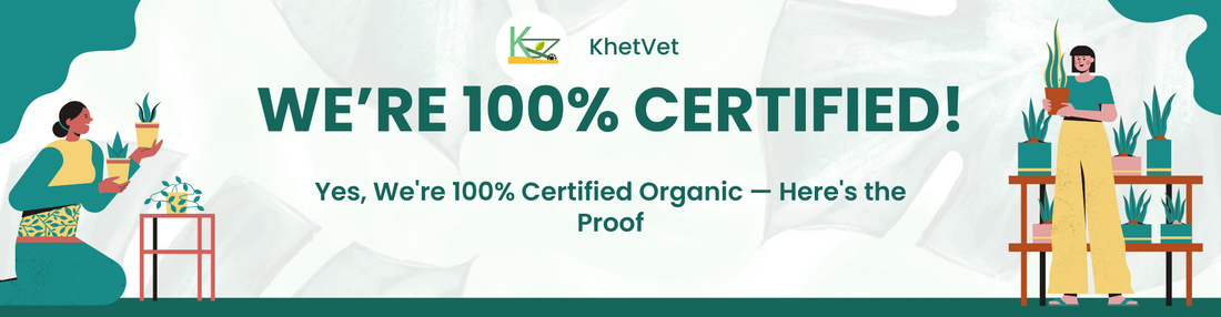Yes, We're 100% Certified Organic — Here's the Proof