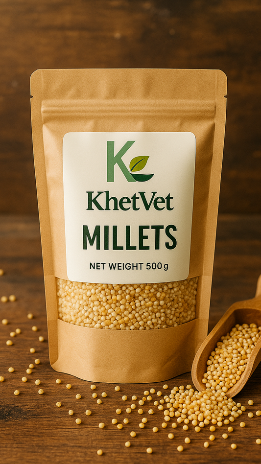 Foxtail Millets – Nutty, light & naturally gluten-free